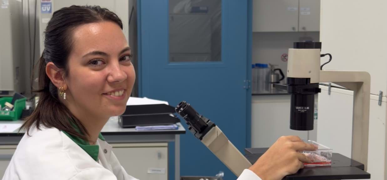 Cell culture: Focusing on innate immunity pays off for Hycult Biotech.